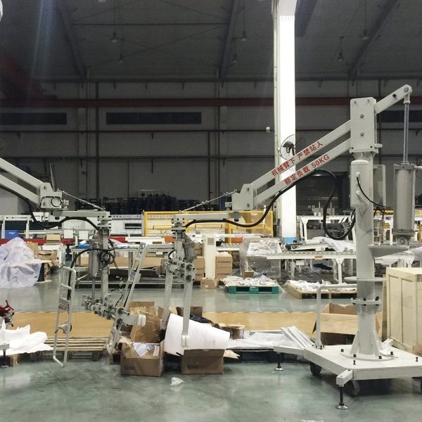 OEM Handling Packing Manipulator for Production Line Industrial Lifting Equipment 30kg